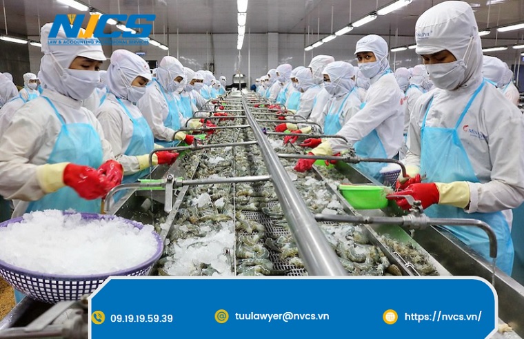 Xin Giấy Phép Môi Trường