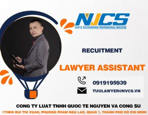 Tuyển trợ lý luật sư 